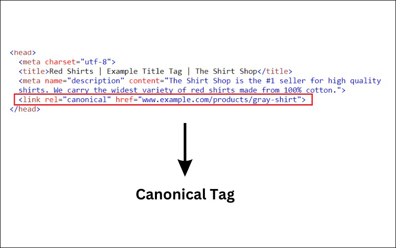 Meta canonical là gì? Tìm hiểu cách tối ưu seo với thẻ canonical 