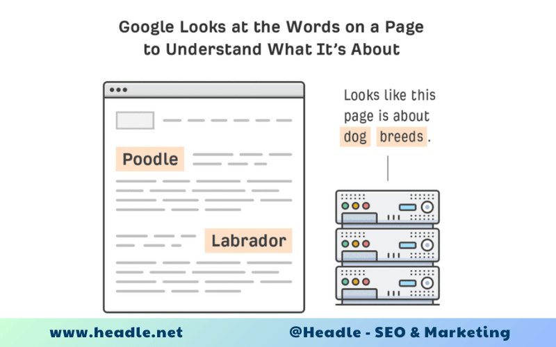 Alternative text là gì? Hướng dẫn tối ưu Alt Text chuẩn SEO