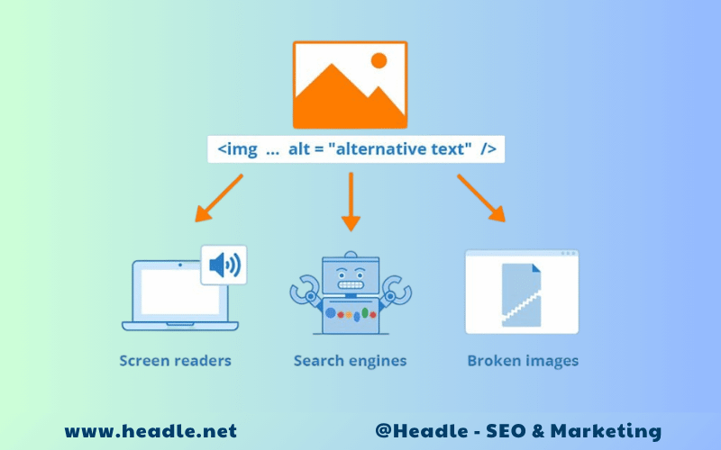 Alternative text là gì? Hướng dẫn tối ưu Alt Text chuẩn SEO